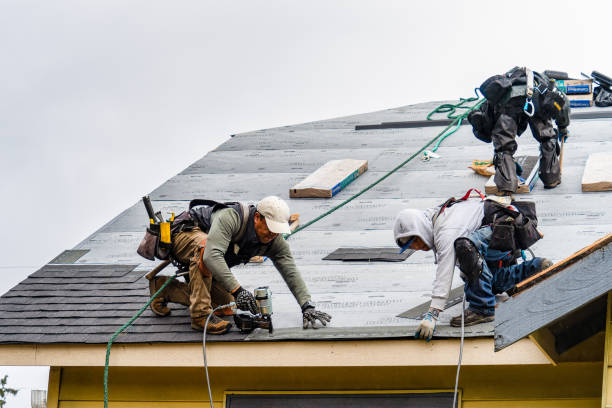 Professional Roof Installation technician working in Perry, MI